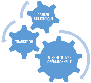 schema-conseil-be-rh